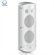 Loa Turbosound TCI53-T 9